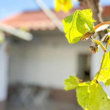 度假居 Casinha Da Serra Vilar (Lisbon)