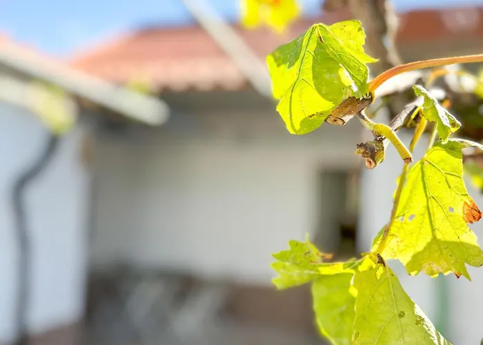 度假居 Casinha Da Serra Vilar (Lisbon)
